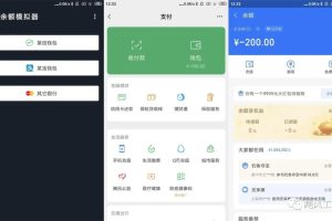 自定义设置某信/某宝余额的软件