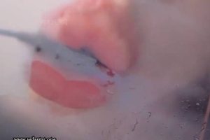 芝麻对辣舔耳新方式 对着小麦又亲又舔 近距离舔屏（23.01.18~1）