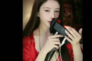 大艺术嘉 紅色多瑙河（24.12.28~3）