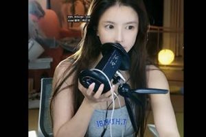 大艺术嘉 素颜 道具（25.03.31~3）