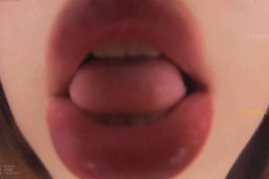 bobooz 湿润天平（26.03.29~3）