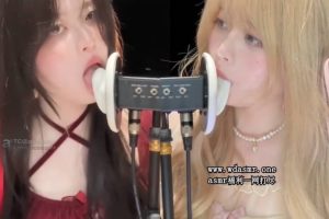 椰椰拿铁助眠双子天鹅（26.05.03~1）